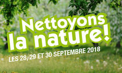 nln_fb